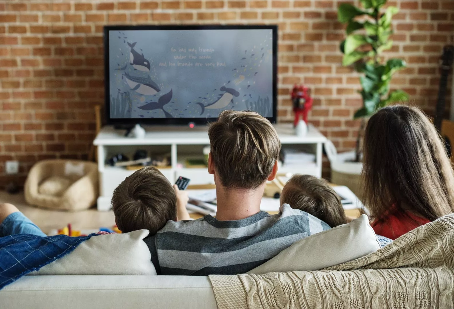 Aerial Installations In Eastbourne, Bournemouth and South of England